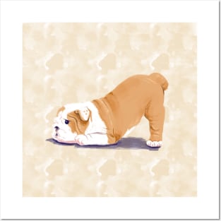 Lazy Bulldog Posters and Art